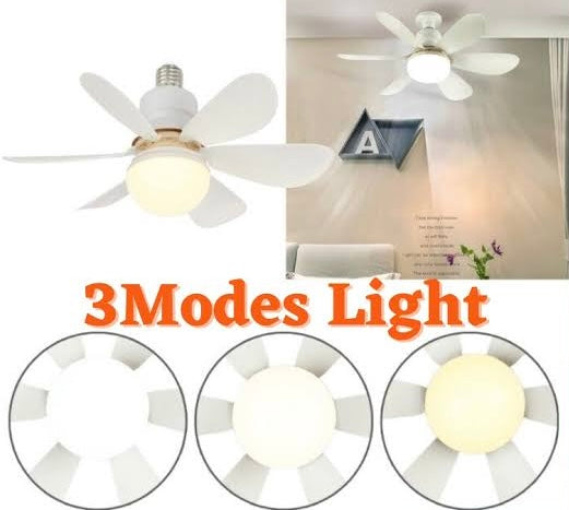 Fan with Light (flower fan)