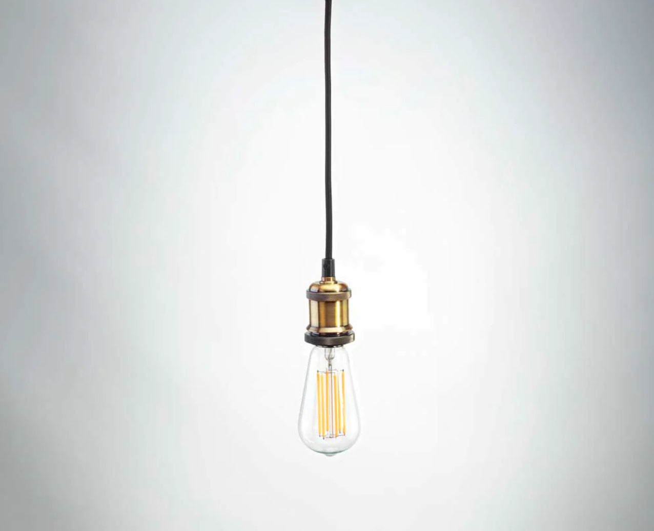 Single Pendant bulb holder with tinted led bulb