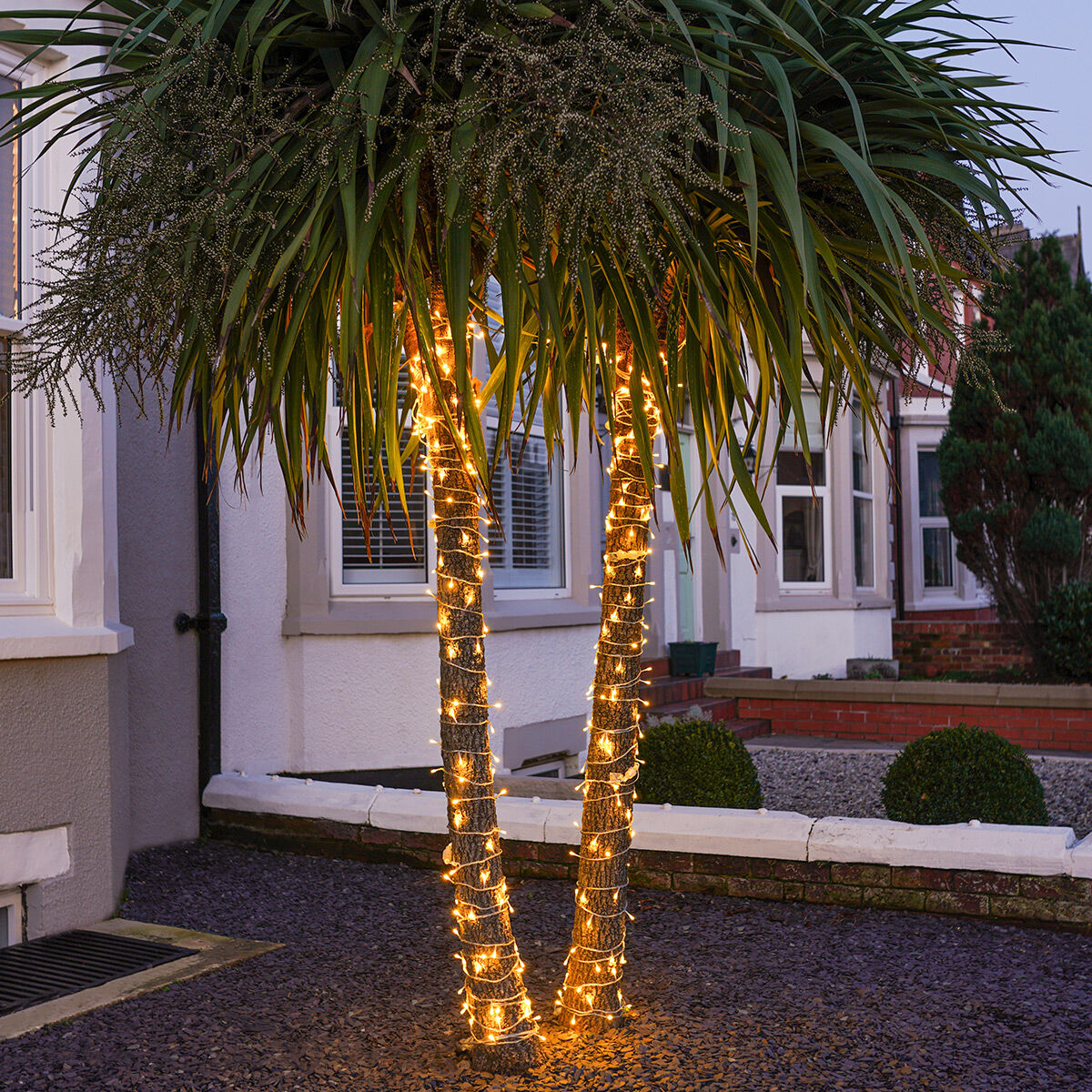 50 meter regular fairy light (Plug in)