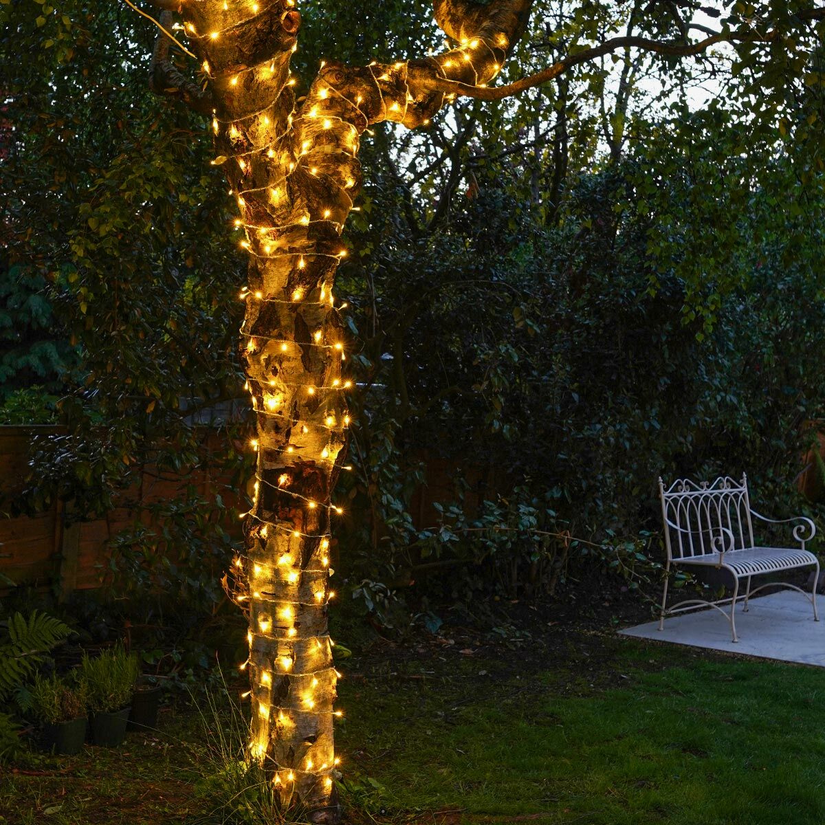 10 meter regular fairy light (Plug in)