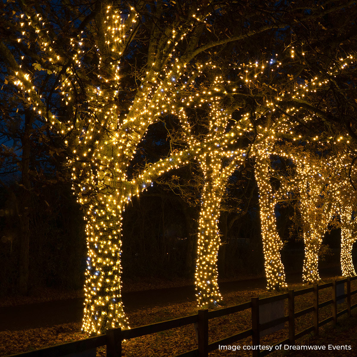 100 meter regular fairy light (Plug in)