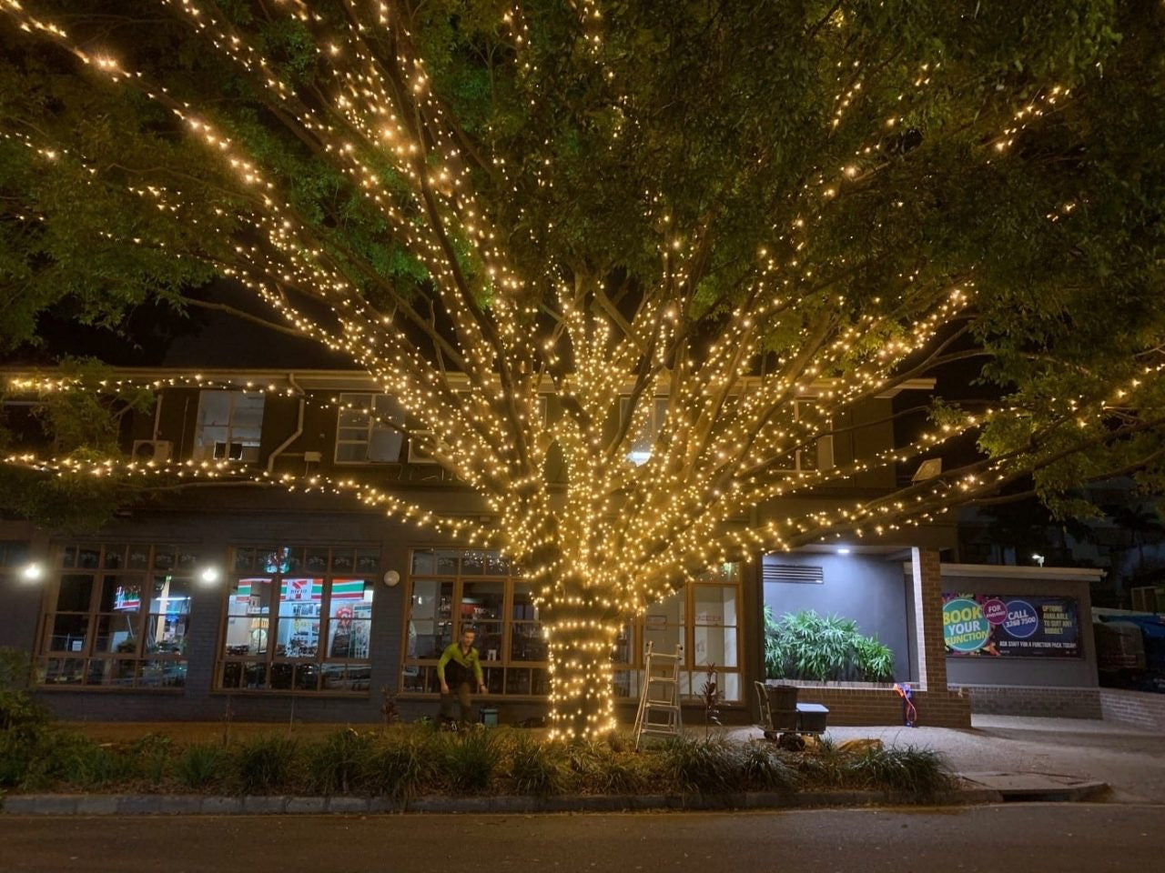 50 meter regular fairy light (Plug in)