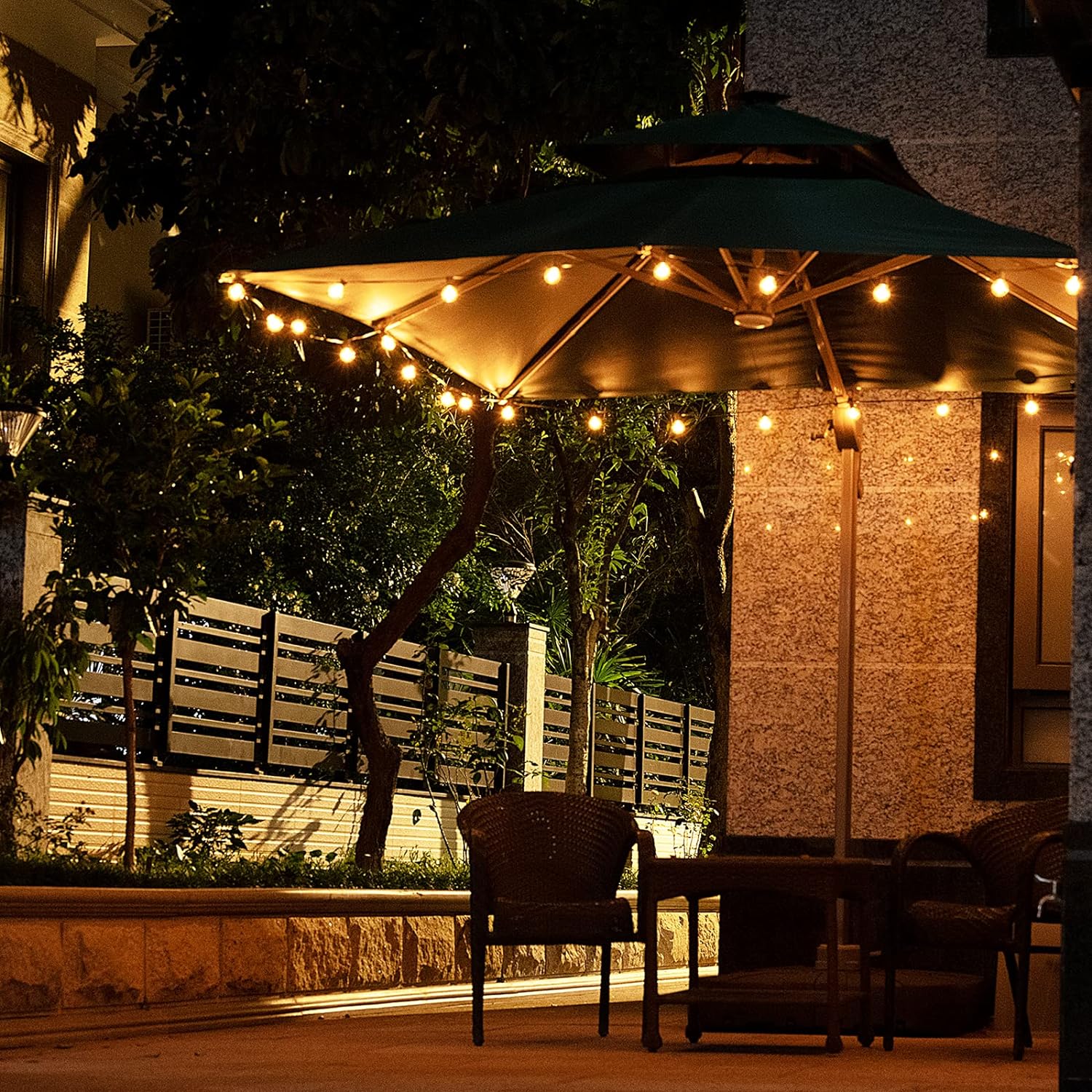 25FT G40 electric string light (Led)