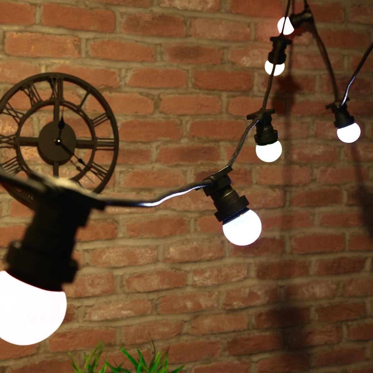 48FT G45 Electric string light (Frosted bulbs)