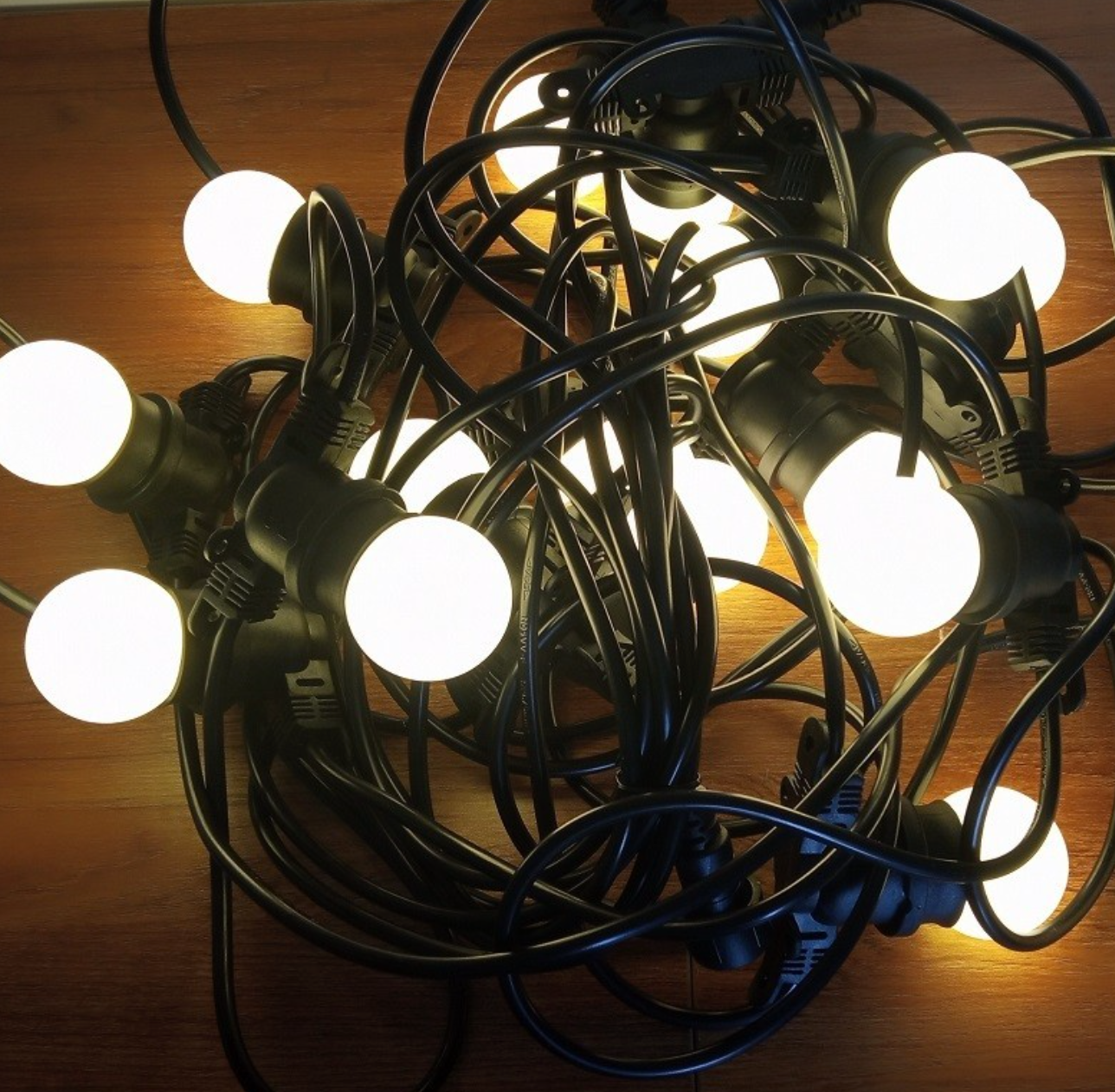 48FT G45 Electric string light (Frosted bulbs)