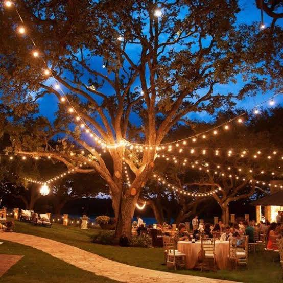 500 FEET (152 meters, 500 bulbs) STRING BULB LIGHTS (plastic bulbs LED) plug in
