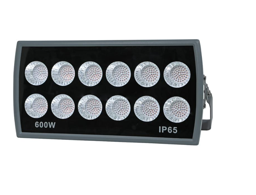600W LED Flood Light electric (website only product)