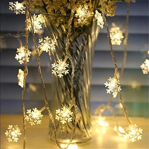 10 meter Snowflakes (Usb)