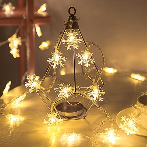 10 meter Snowflakes (Usb)