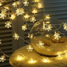 10 meter Snowflakes (Usb)