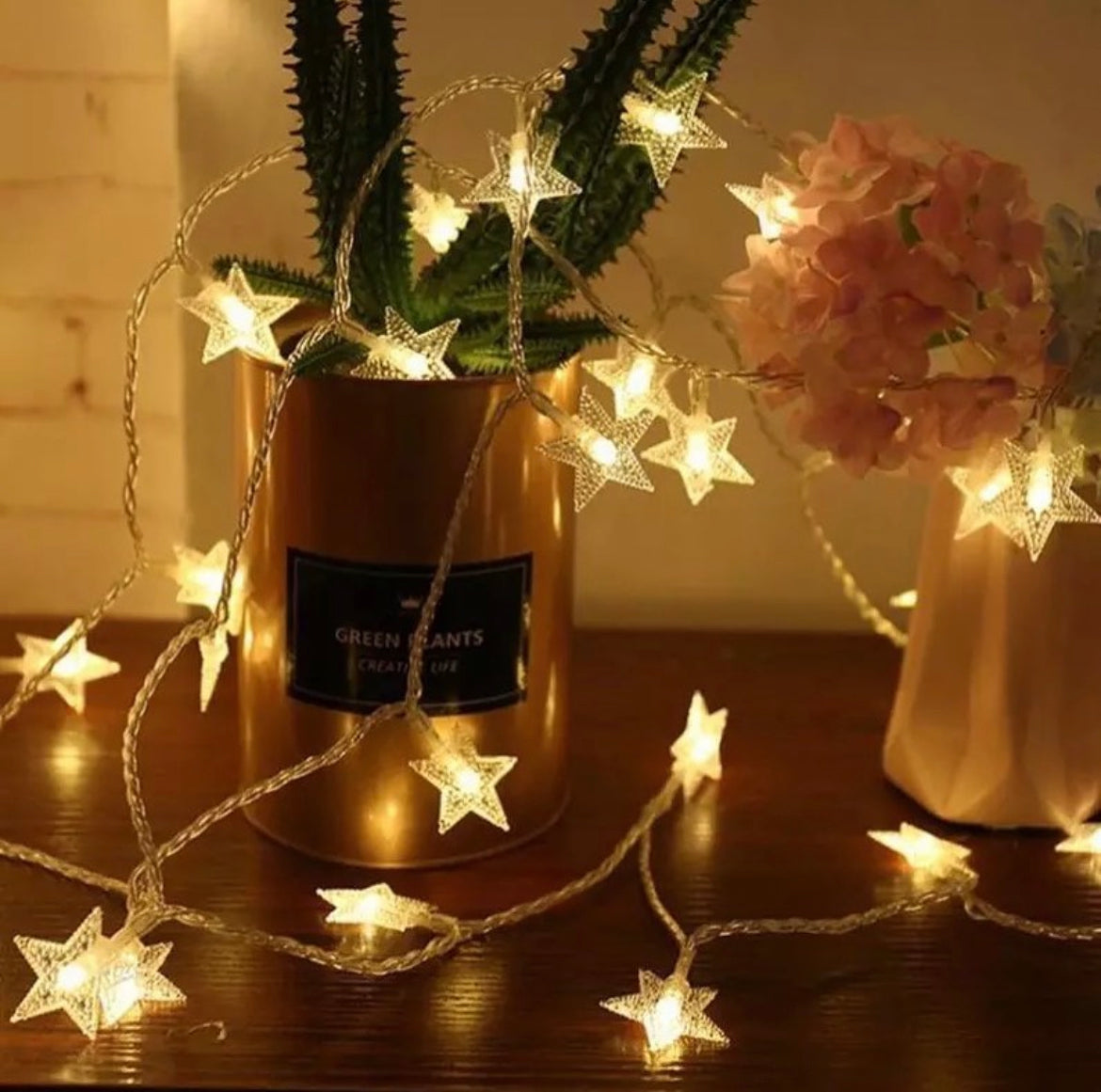 10 meter Stars Festive plug in