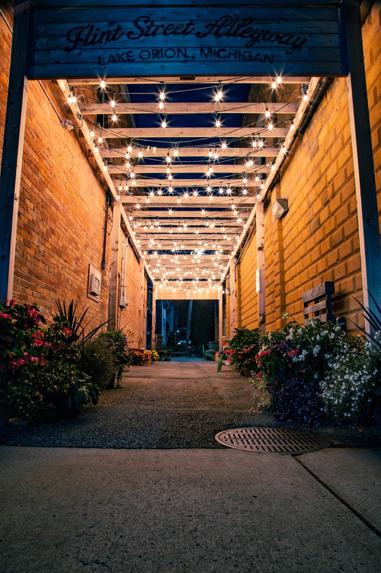 25FT G40 electric string light (Non Led)