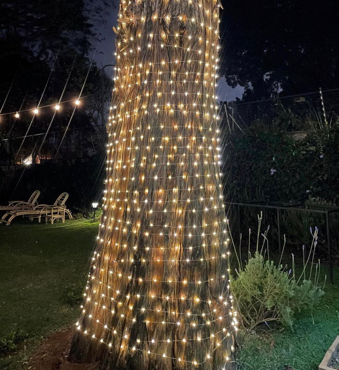 40 meter Solar fairy light
