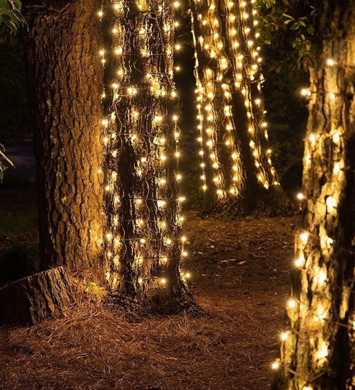 40 meter Solar fairy light