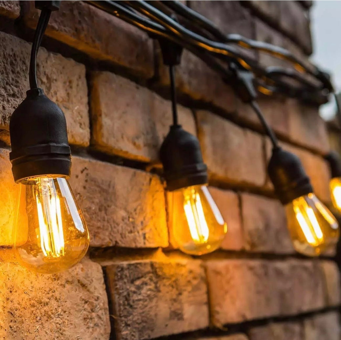48FT S14 Electric String Light (Heavy duty / Commercial)