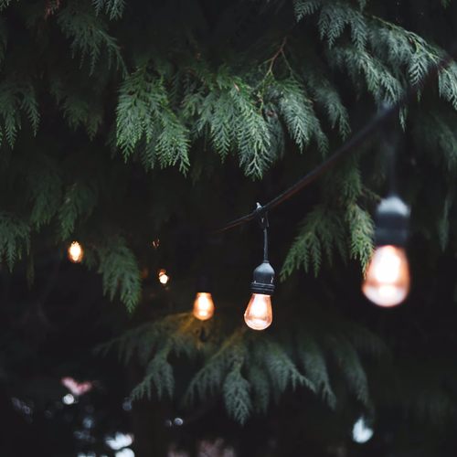 48FT S14 Electric String Light (Heavy duty / Commercial)