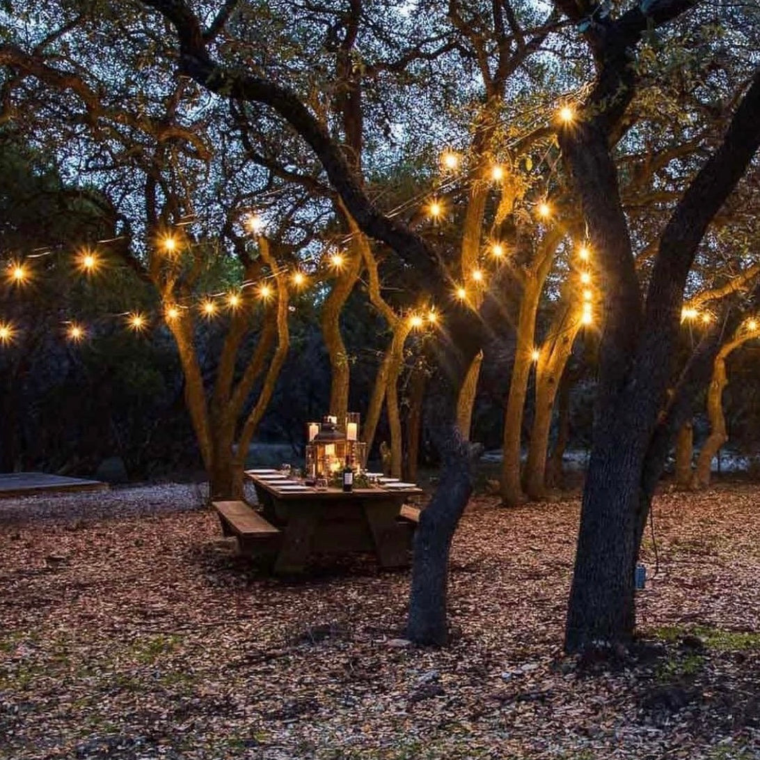 48FT S14 Solar string Light with Backup charging port