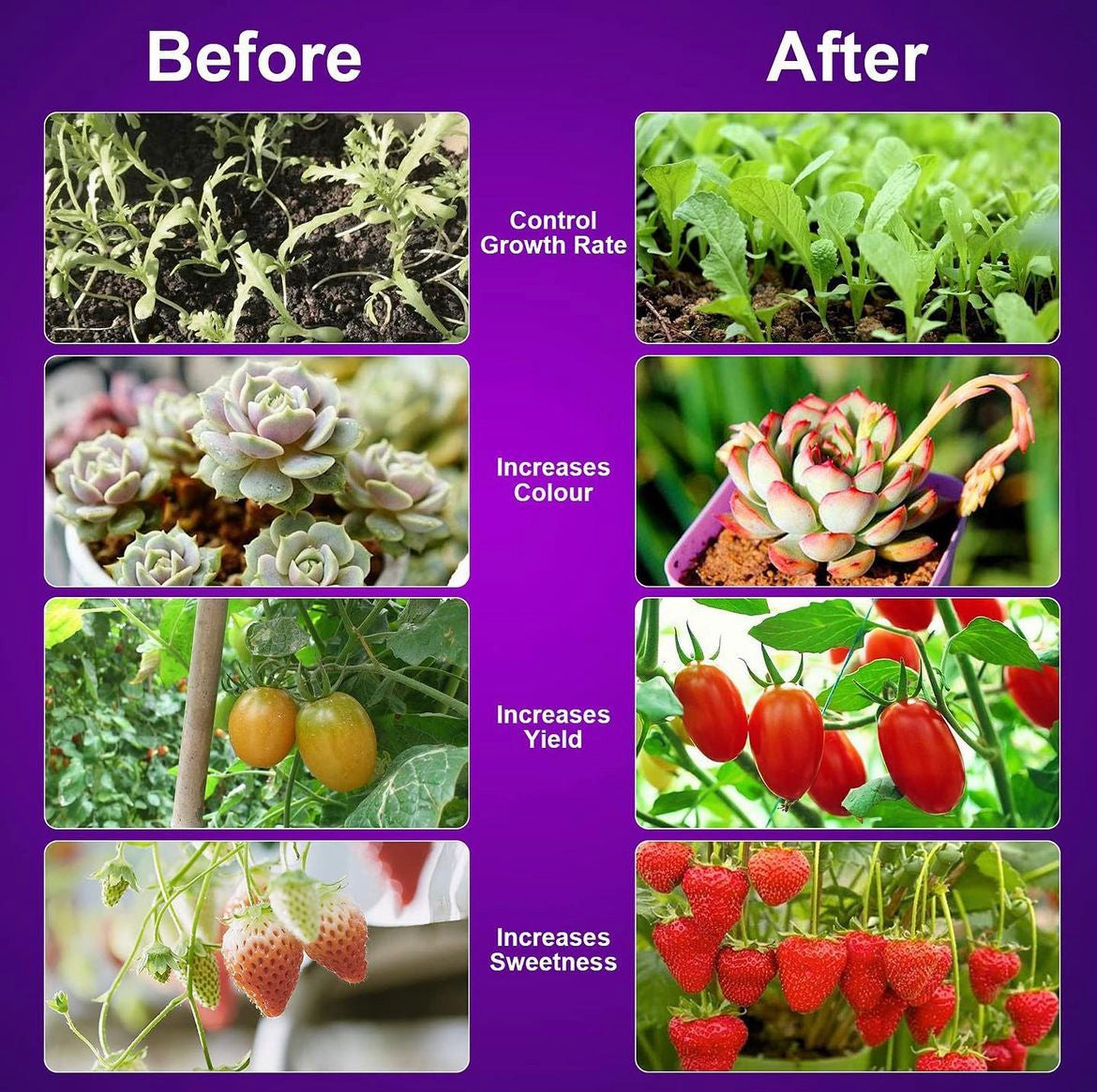 4 Head 40W Grow Light