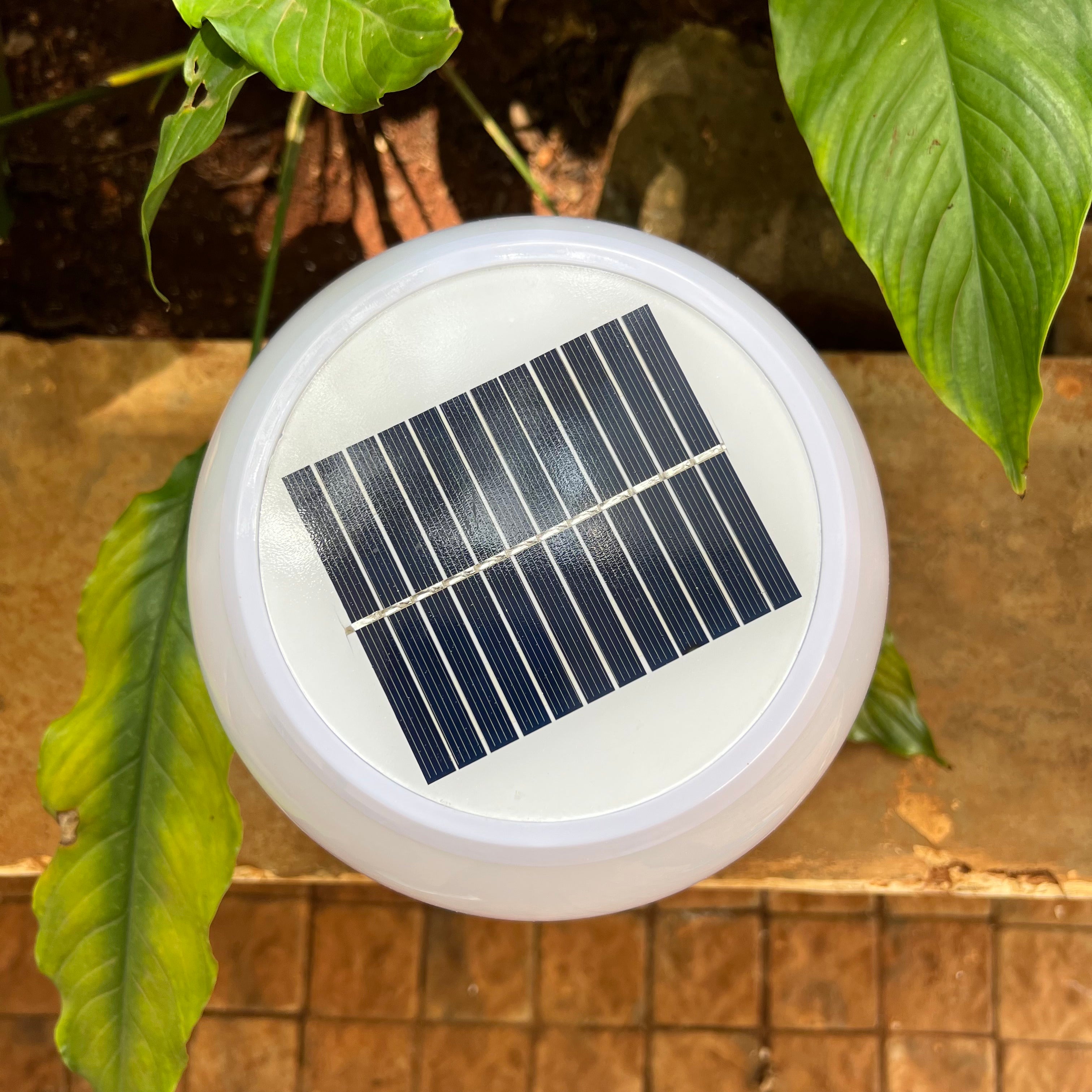 Ac/DC Globe Pillar light SOLAR