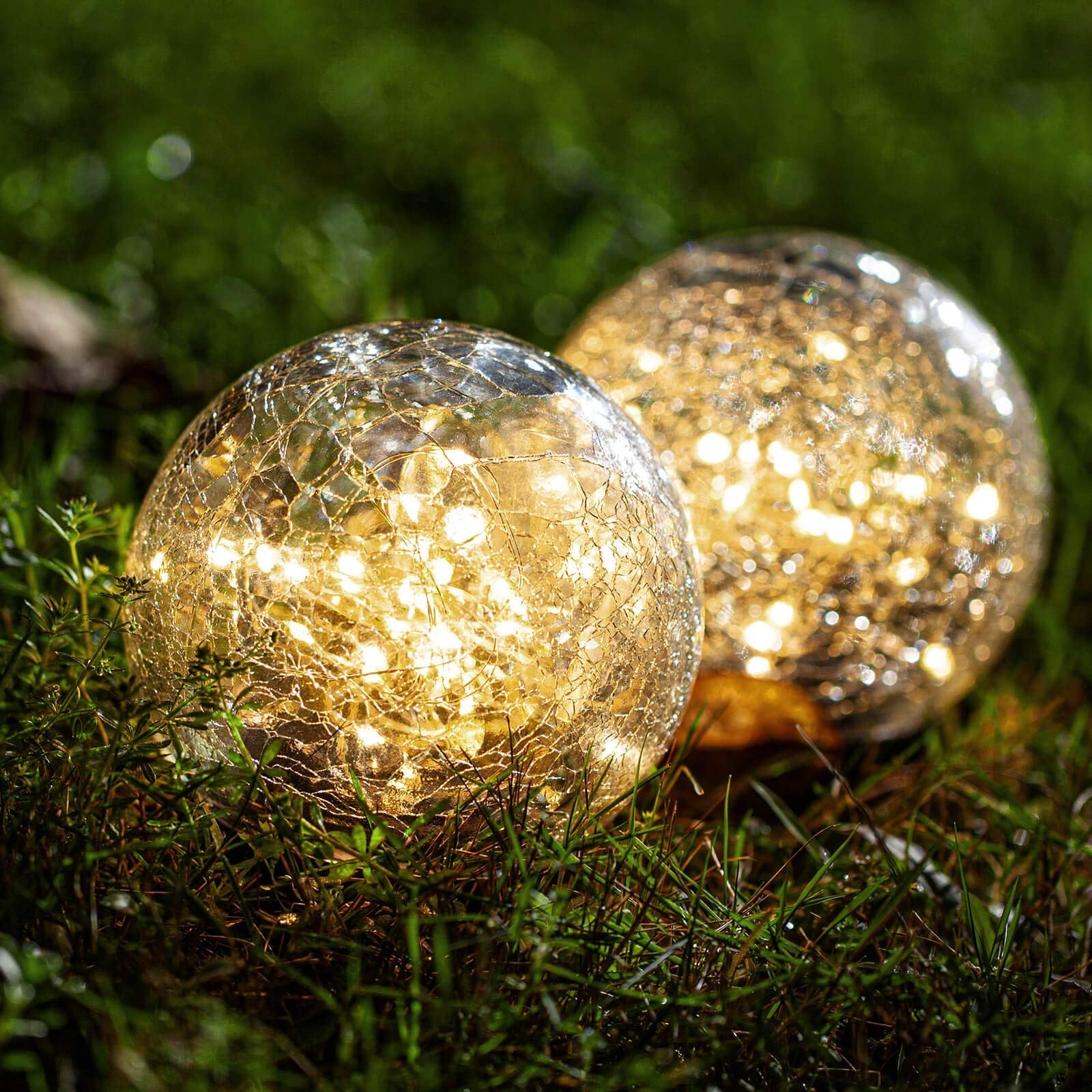 Glass Solar Dome ground