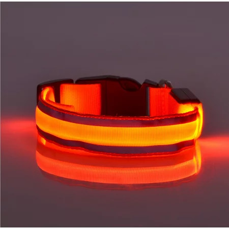 Orange LED Dog Collar