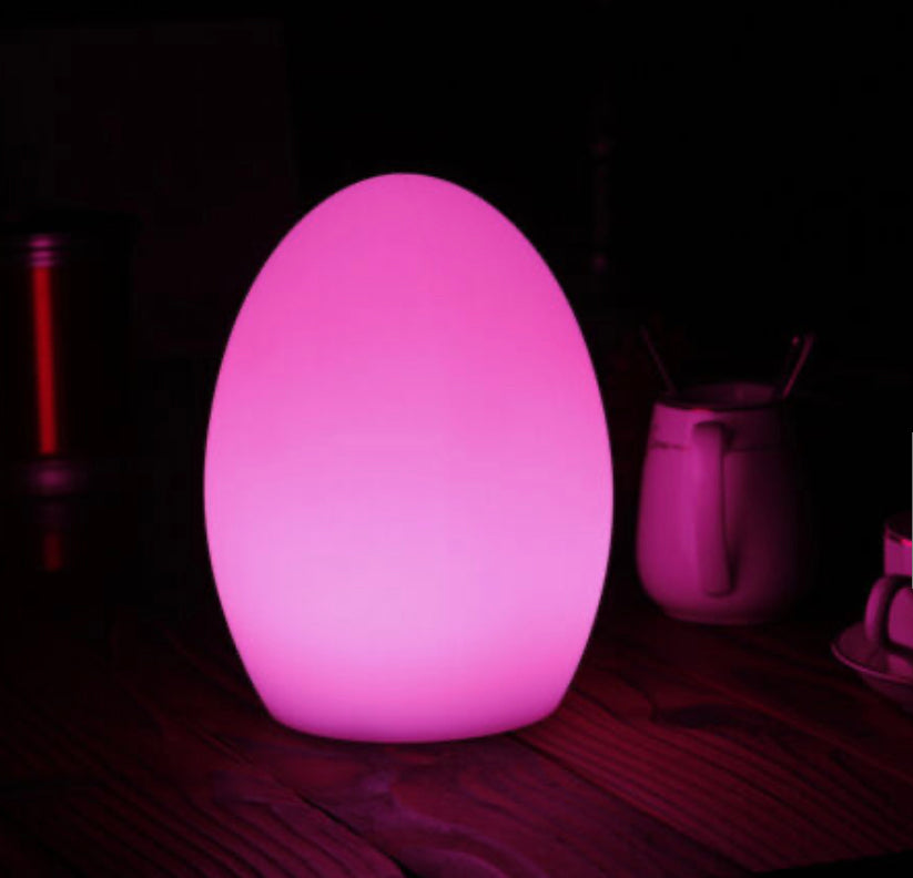 Egg lamp Restaurant light remote control