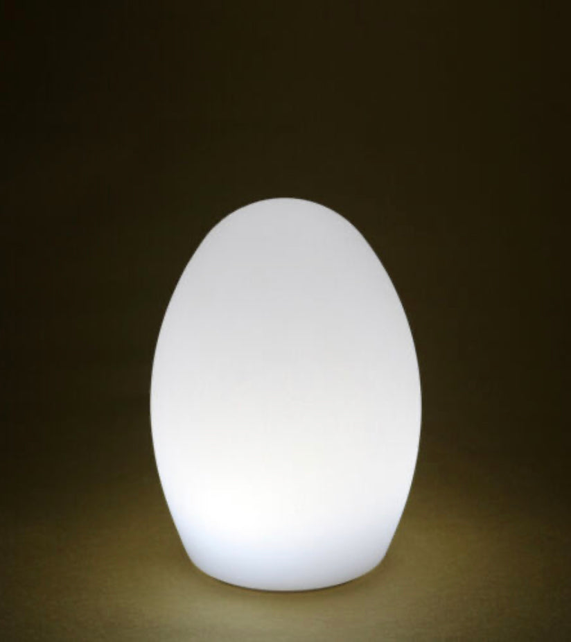 Egg lamp Restaurant light remote control
