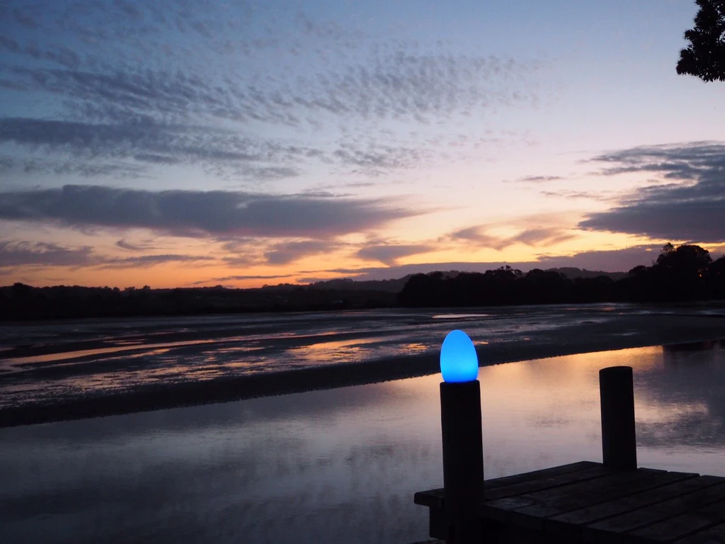 Egg lamp Restaurant light remote control