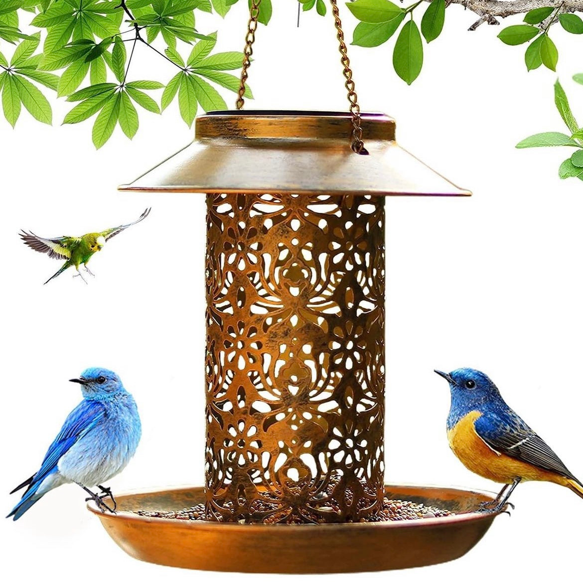 Solar Bird Feeder