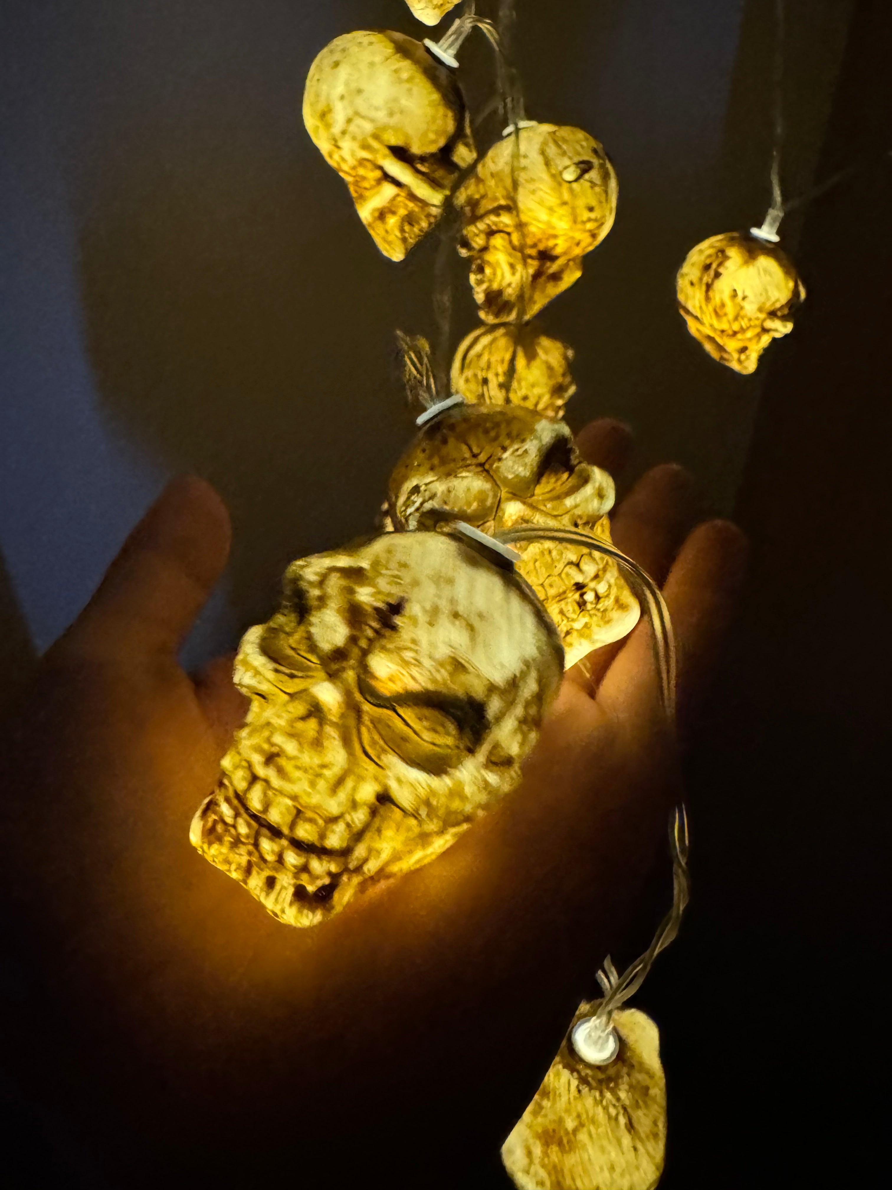 Skeleton skull halloween 3 meter lights