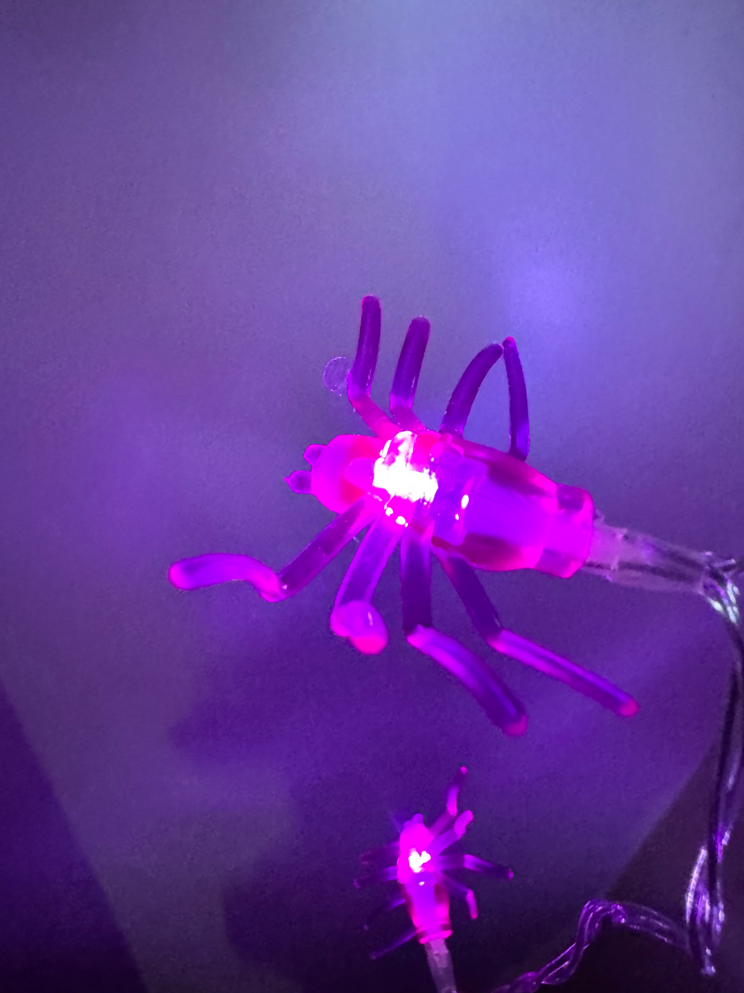 Spider halloween lights 3 meters