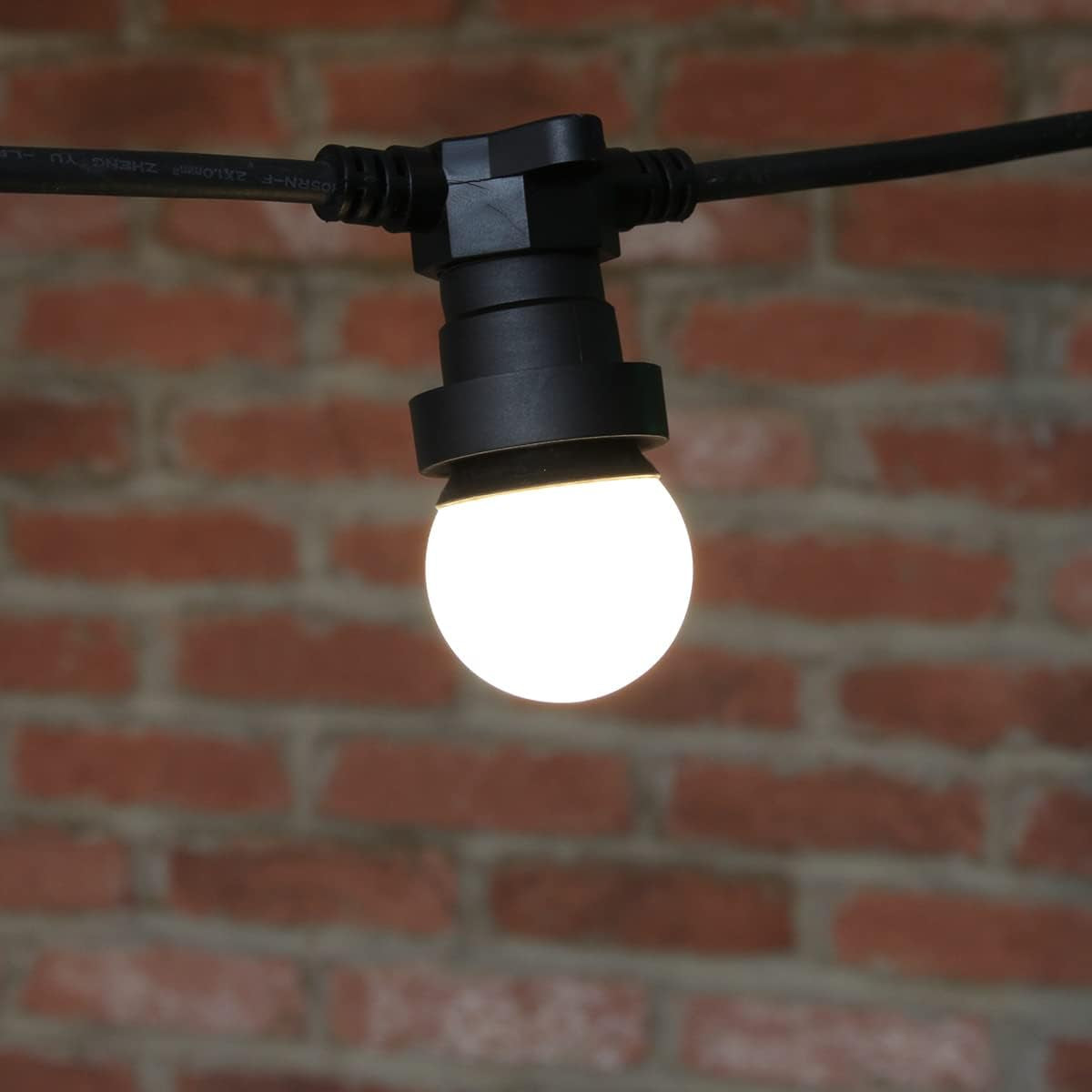 48FT G45 Electric string light (Frosted bulbs)