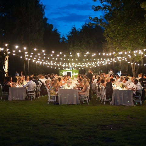500 FEET (152 meters, 500 bulbs) STRING BULB LIGHTS (plastic bulbs LED) plug in