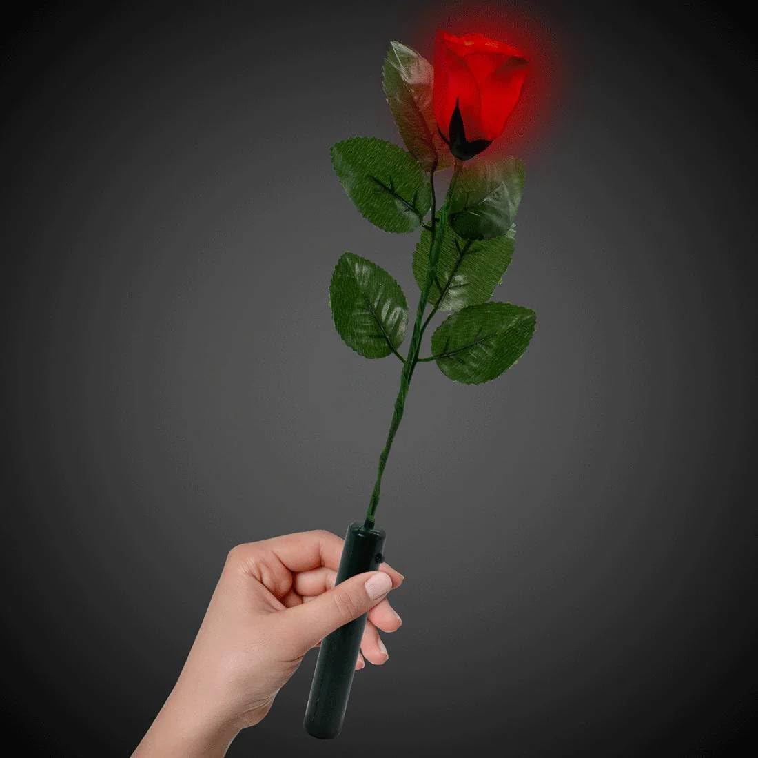 Single Valentines Rose