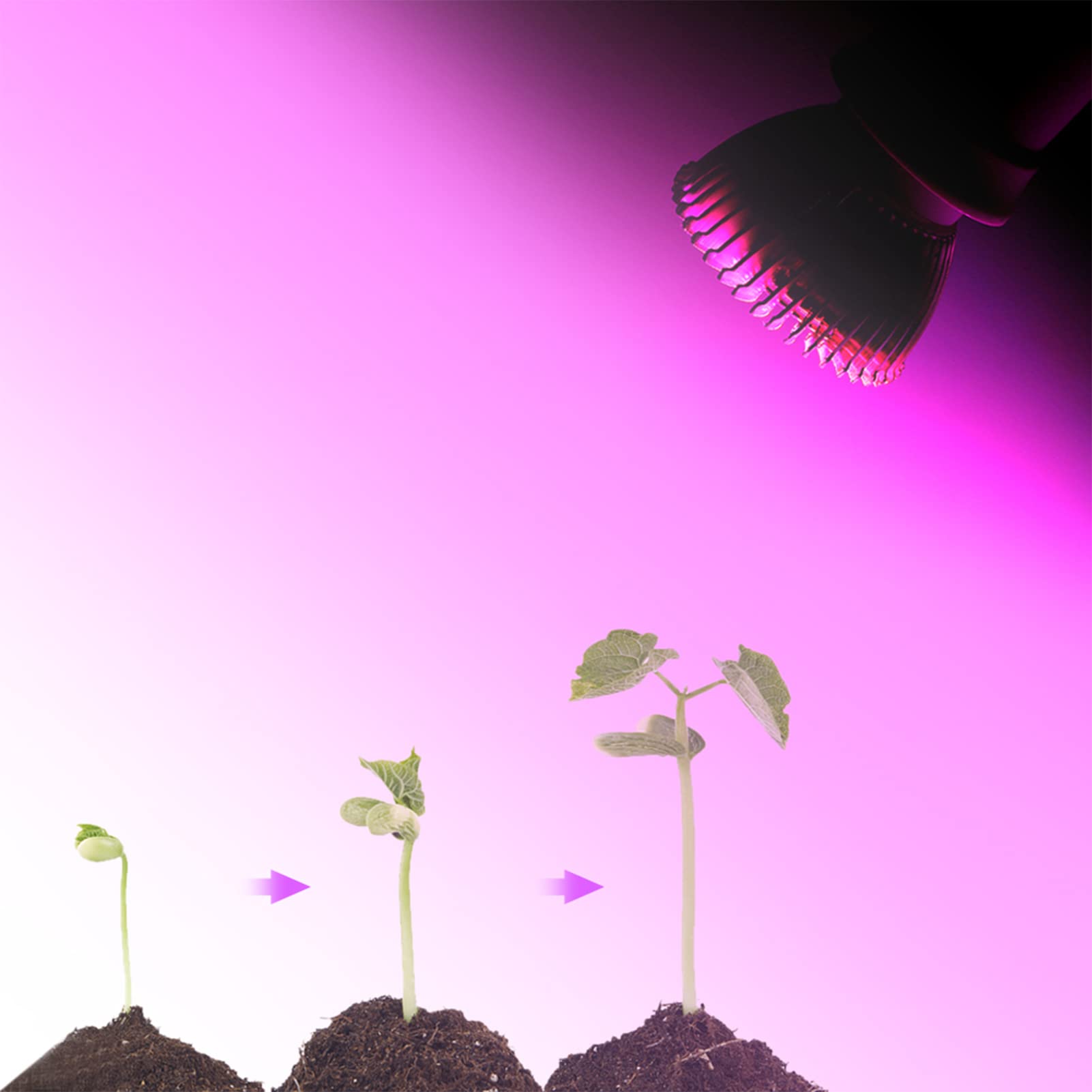 Grow Bulb E27 (screw)