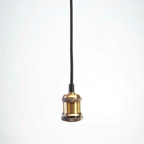 Single Pendant bulb holder with tinted led bulb